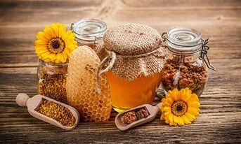 apitherapy for the treatment of varicose veins in the legs